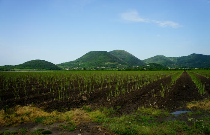 Colli Euganei, giro cicloturistico settore sud-est, Battaglia Terme, Arquà Petrarca, Monselice, Castello del Catajo