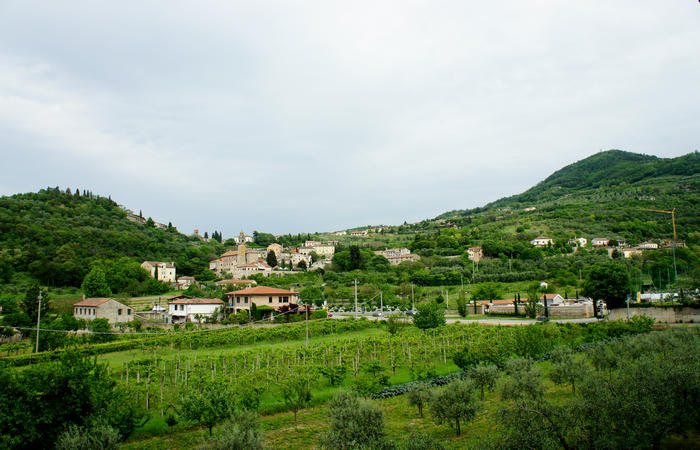 Colli Euganei, giro cicloturistico settore sud-est, Battaglia Terme, Arquà Petrarca, Monselice, Castello del Catajo