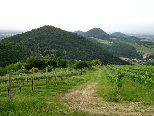 Colli di Teolo, Monte Grande, Calto Pendice, Pirio - giro in mountain bike