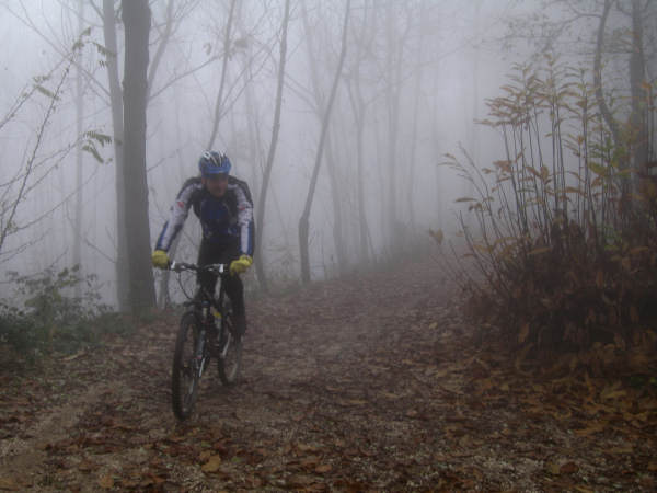 Colli di Teolo, Frassenelle, Monte Grande, Calto Pendice - giro in mountain bike