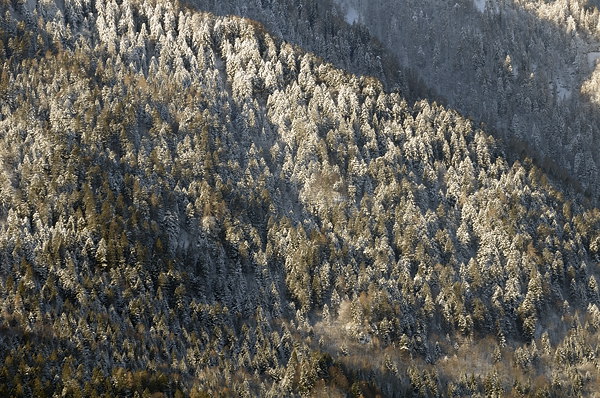 Inverno a Erto e nella valle del Vajont