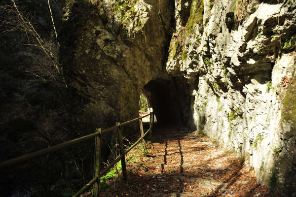 Cismon del Grappa, Val Goccia Cesilla, Col dei Prai