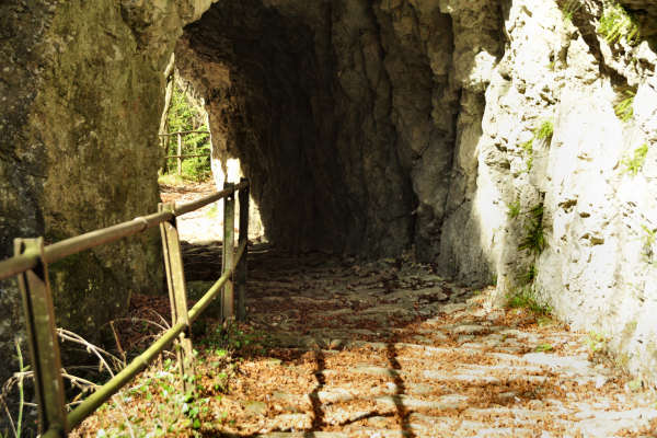 Cismon del Grappa, Val Goccia Cesilla, Col dei Prai