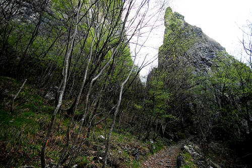 Cismon del Grappa, Valbrenta - la Gusella e la mulattiera della val Goccia