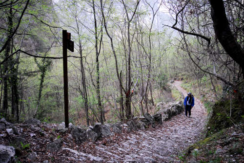 Cismon del Grappa, Valbrenta - la Gusella e la mulattiera della val Goccia