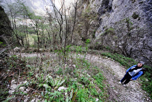 Cismon del Grappa, Valbrenta - la Gusella e la mulattiera della val Goccia