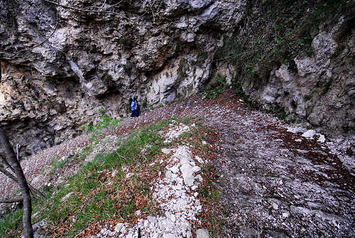 Cismon del Grappa, Valbrenta - la Gusella e la mulattiera della val Goccia