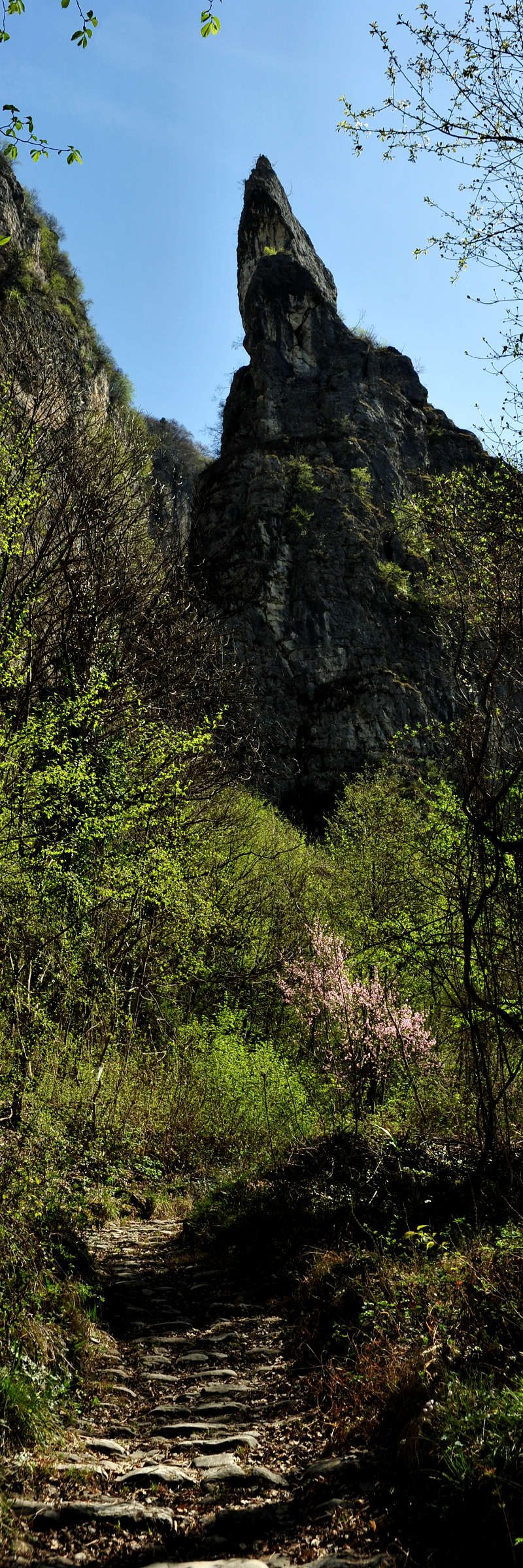 Gusella della Val Goccia a Cismon del Grappa