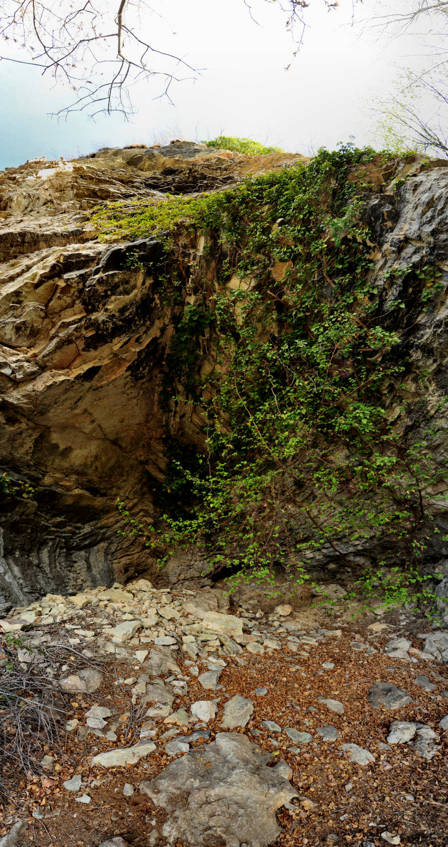 Tombe Longobarde a Col dei Prai di Cismon del Grappa