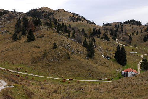 Valle delle Foglie, Colli Vecchi, Cima Grappa