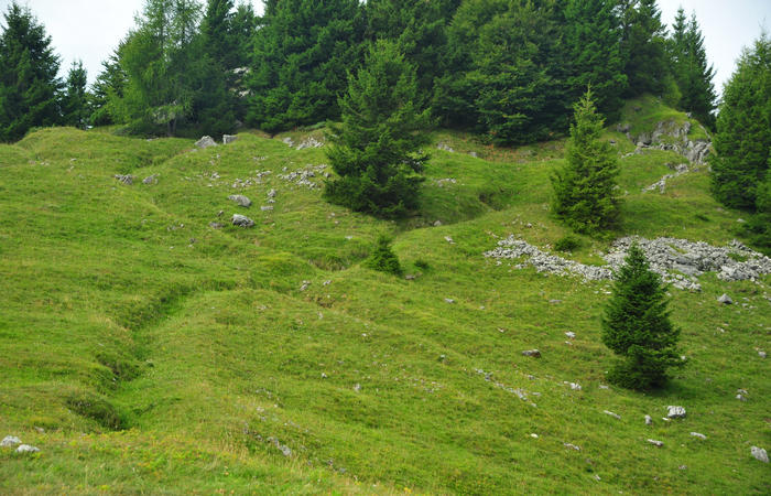 escursione dorsale CimaGrappa-Solaroli / Croce dei Lebi Col dell'Orso Salarolo Valderoa Fontanasecca Val delle Mure Cason del Sole Pian di Bala Val Vecia