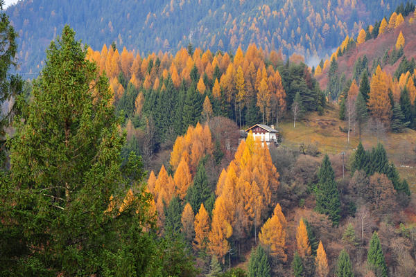 escursione alla Chiesetta di San Silvestro dal passo Gobbera sul monte Totoga