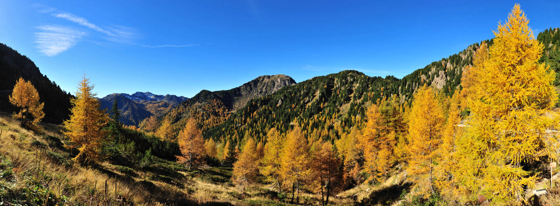 dal passo Manghen verso la Val Calamento, Lagorai, Trentino