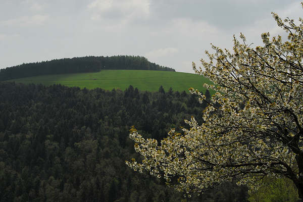 Cerro Veronese, monte Santa Viola, Lessini