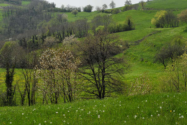 Cerro Veronese, monte Santa Viola, Lessini