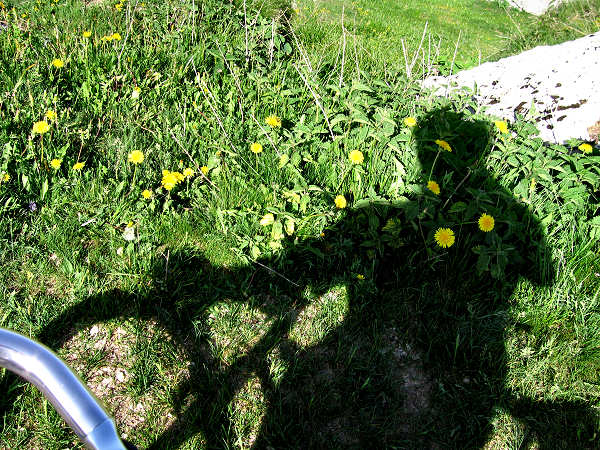 mountain bike nell'alta Lessinia, montagna veronese