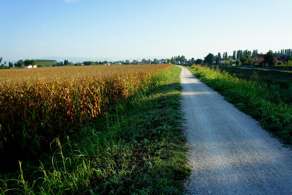 Fiume Brenta Alta Padovana, Muson dei Sassi, Ostiglia Ciclabile