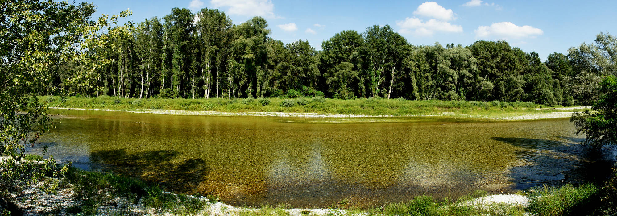 area naturalistica fiume Brenta a Grantorto