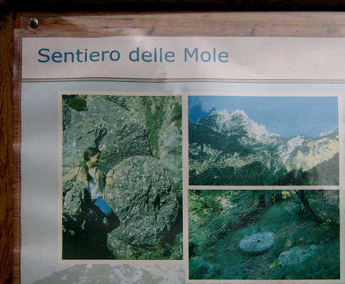 Sentiero delle Mole all'alpe di Capogrosso, Recoaro Terme