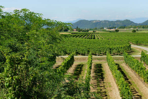 pista ciclabile Agno-Chiampo