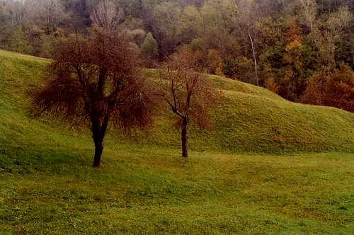 colori d'autunno nei colli Asolani