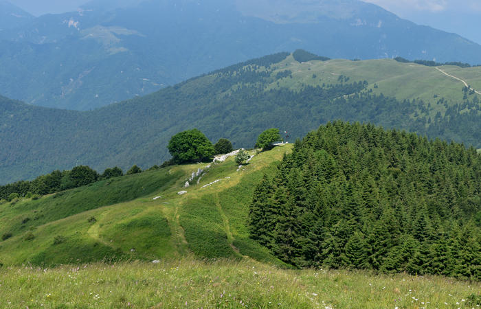 escursione naturalistica Malga Mariech Barbaria Orsere Forcelletta monte Cesen