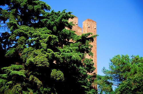 Castelfranco Veneto