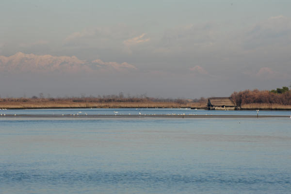 Caorle