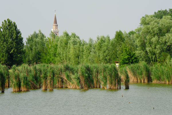 Oasi Wwf delle Cave di Noale