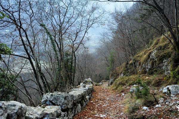 Sentiero della Piovega, Cismon Canal di Brenta Cornale, Fosse, Enego