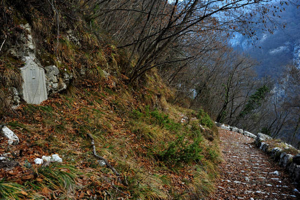Sentiero della Piovega, Cismon Canal di Brenta Cornale, Fosse, Enego