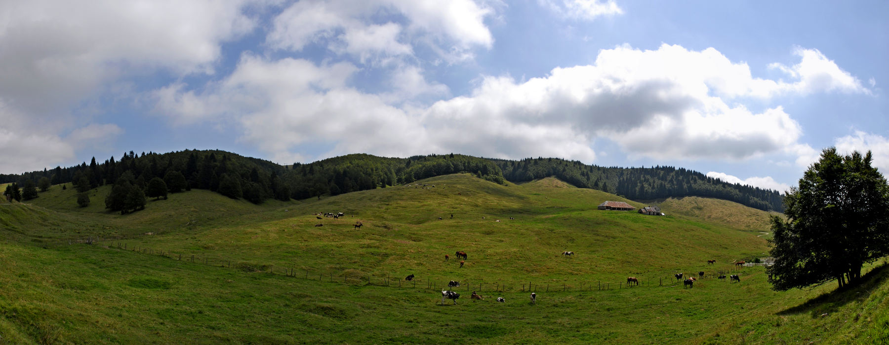 panoramica val Melago malga Melago, Gallio Altopiano Asiago Sette Comuni