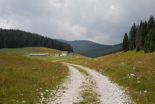 Piana di Marcesina, Enego, Altipiano di Asiago Sette Comuni