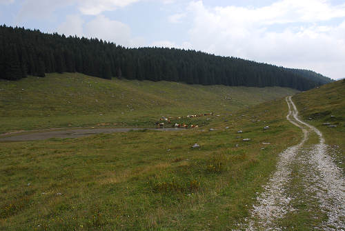 Piana di Marcesina, Enego, Altipiano di Asiago Sette Comuni