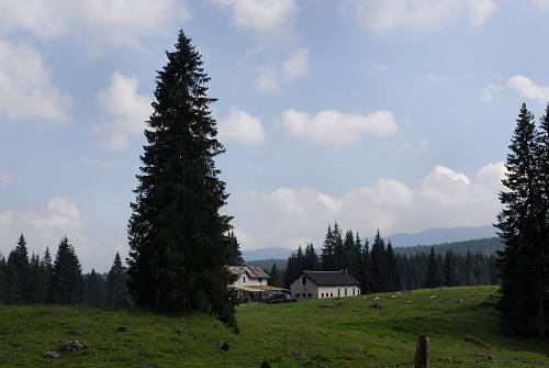 Piana di Marcesina, Enego, Altipiano di Asiago Sette Comuni