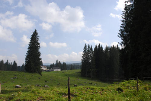 Piana di Marcesina, Enego, Altipiano di Asiago Sette Comuni