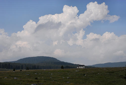 Piana di Marcesina, Enego, Altipiano di Asiago Sette Comuni