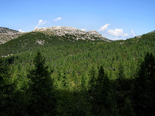 zona monumentale del monte Ortigara - altopiano di Asiago 7 Comuni
