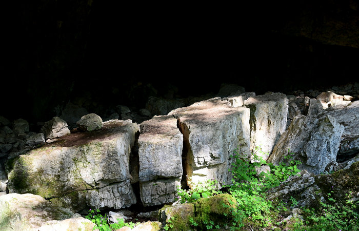 SelvArt, Sentiero Arte Natura a Mezzaselva di Roana, monte Erio