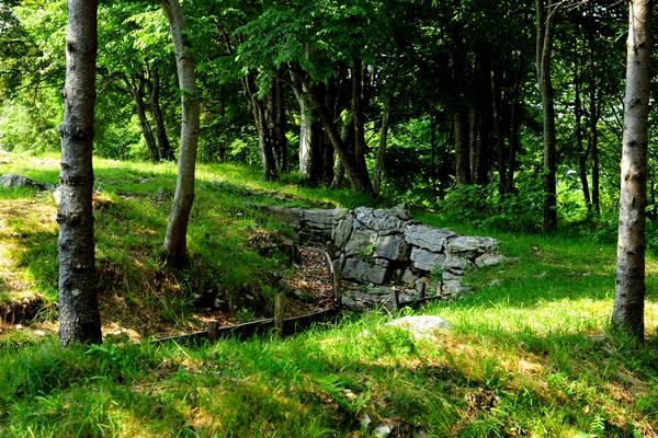 Sentiero storico-ambientale dal cimitero dei Crosati al monte Cimone di Tonezza