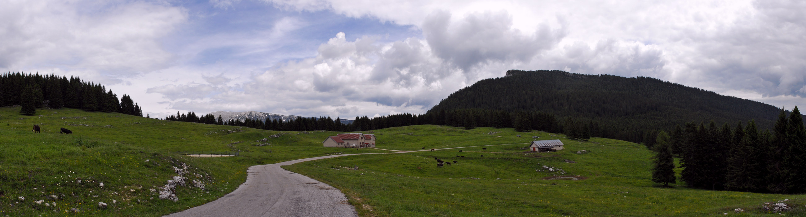 malga Mandrielle sotto il monte Verena