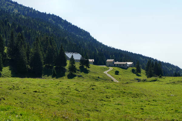 Mtb Altipiani, 100 km dei forti fortezze bike tour megabike gran fondo G.Simoni marathon