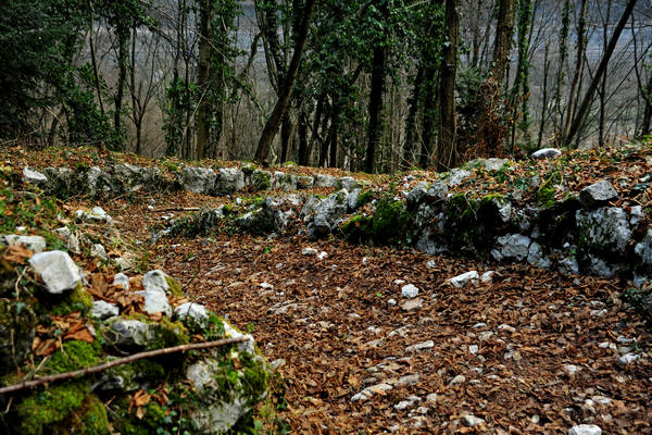 Sentiero della Piovega, Cismon Canal di Brenta Cornale, Fosse, Enego