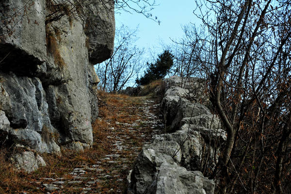 Sentiero della Piovega, Cismon Canal di Brenta Cornale, Fosse, Enego