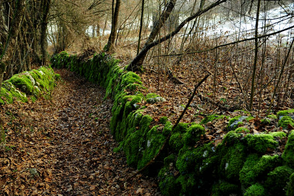 Sentiero della Piovega, Cismon Canal di Brenta Cornale, Fosse, Enego