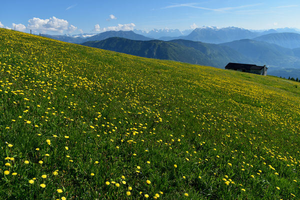 dal Monte Lisser di Enego