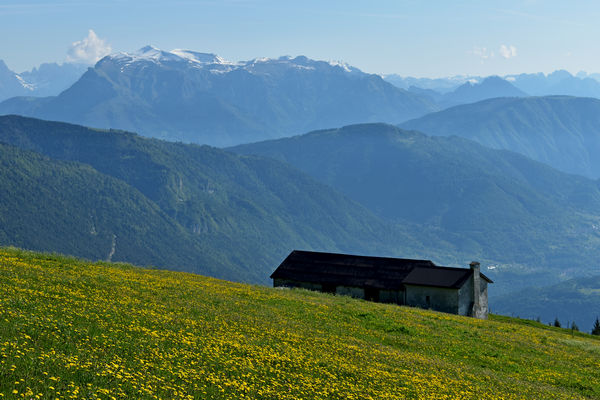 dal Monte Lisser di Enego