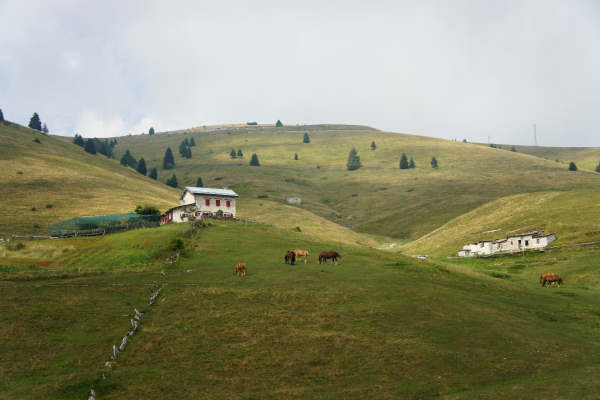 Enego Tombal, ex forte Monte Lisser