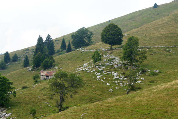 Enego Tombal, ex forte Monte Lisser