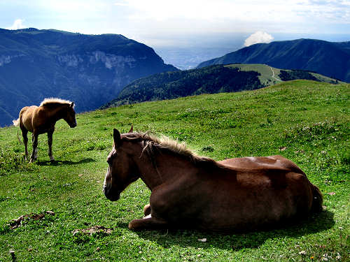 Badenecche - Foza - altopiano di Asiago 7 Comuni